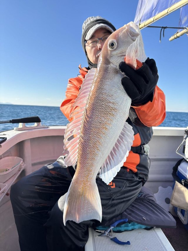 アマダイ(アカアマダイ)