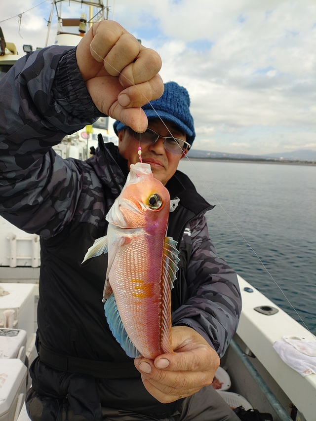 アマダイ(アカアマダイ)