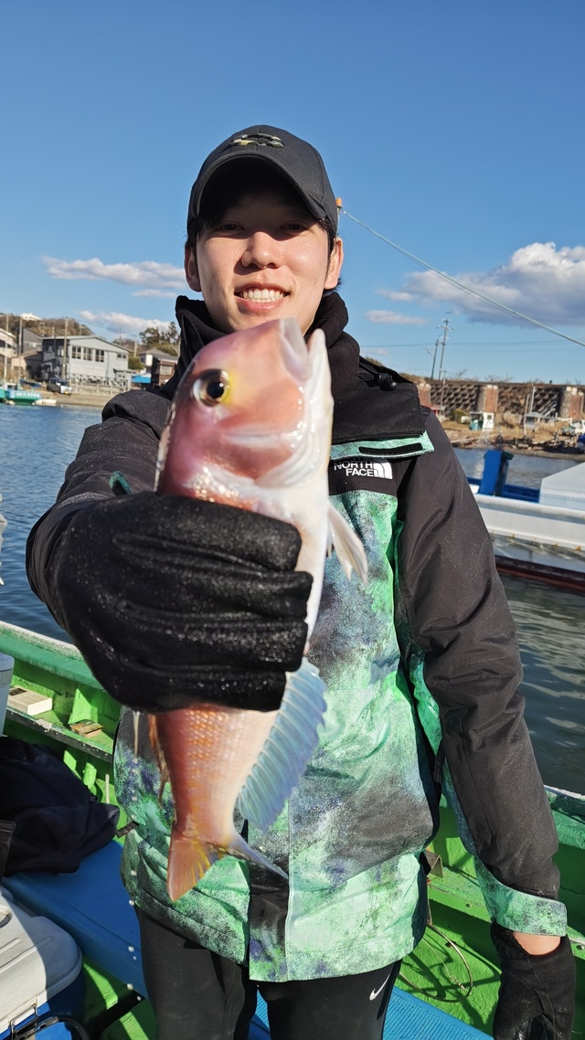 アマダイ(アカアマダイ)