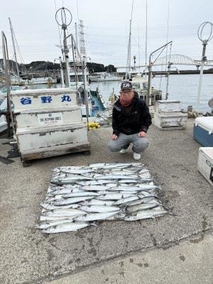 サワラ・サゴシ(サワラ)