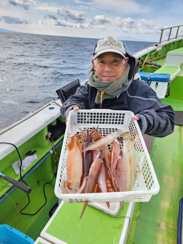 ヤリイカ・スルメ(スルメイカ)