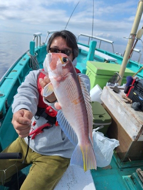 アマダイ(アカアマダイ)