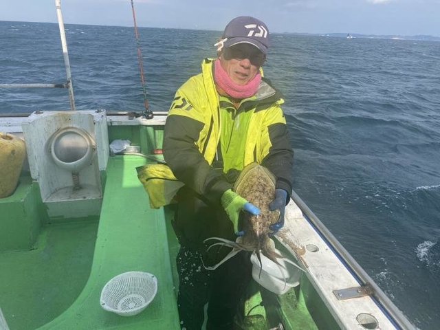 モンゴウ(カミナリイカ)