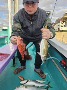 アジ(マアジ)・ハマチ(ブリ)・ガシラ(カサゴ)