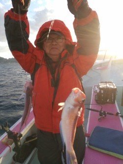 アマダイ(アカアマダイ)