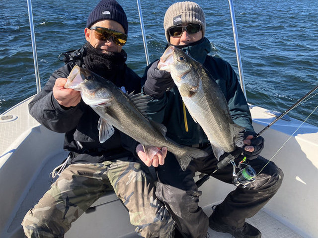 シーバス(スズキ)