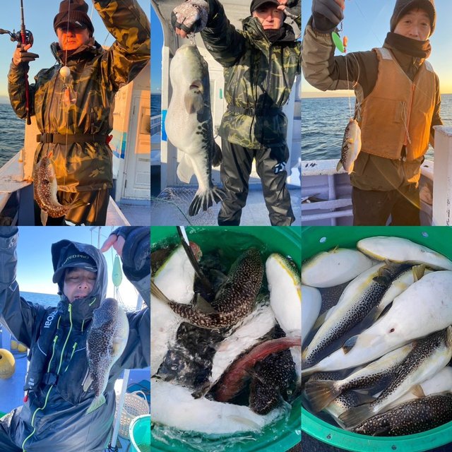 ショウサイフグ