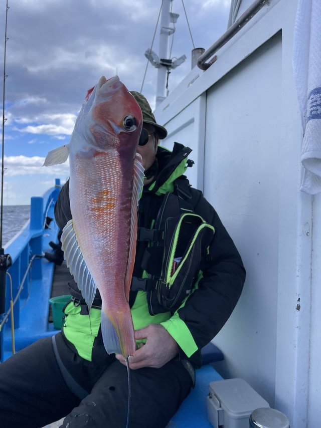 アマダイ(アカアマダイ)