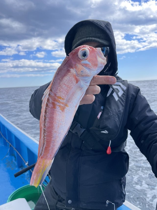 アマダイ(アカアマダイ)