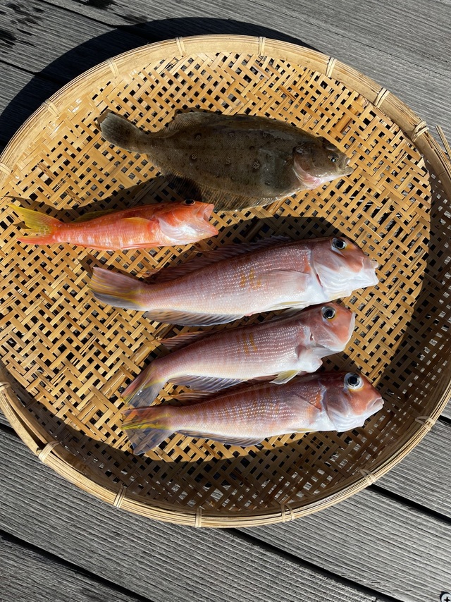 アマダイ(アカアマダイ)