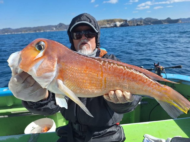 アマダイ(アカアマダイ)