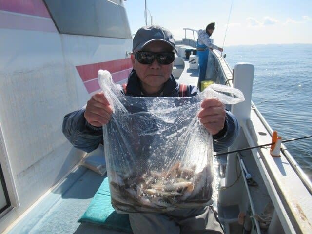 イシモチ(シログチ)