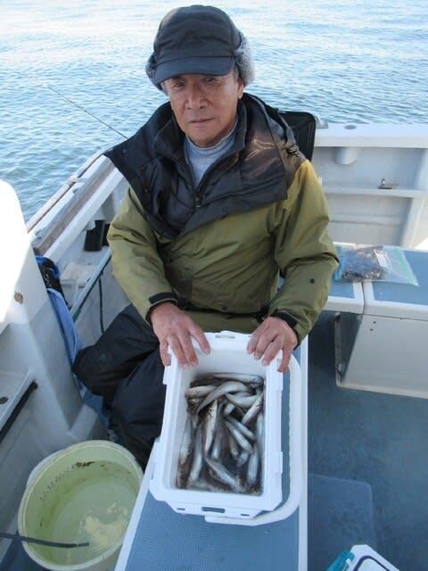 イシモチ(シログチ)