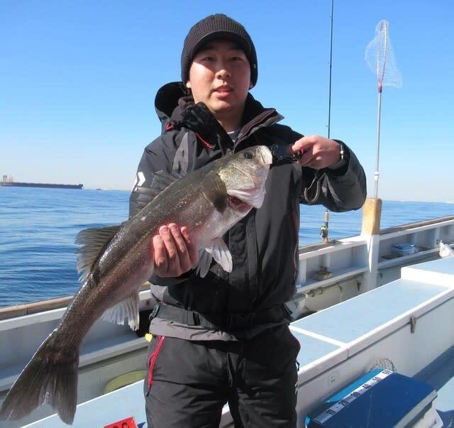 シーバス(スズキ)