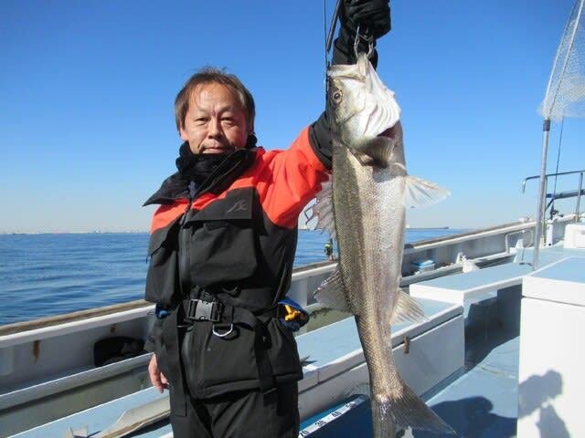 シーバス(スズキ)