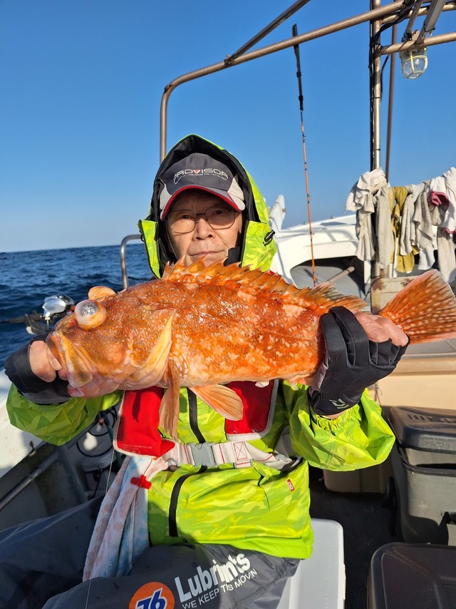 アラカブ(カサゴ)