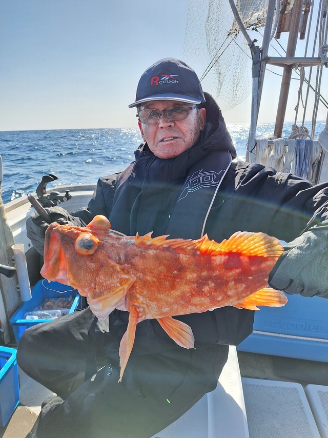 アラカブ(カサゴ)