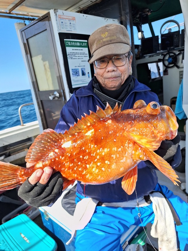 アラカブ(カサゴ)