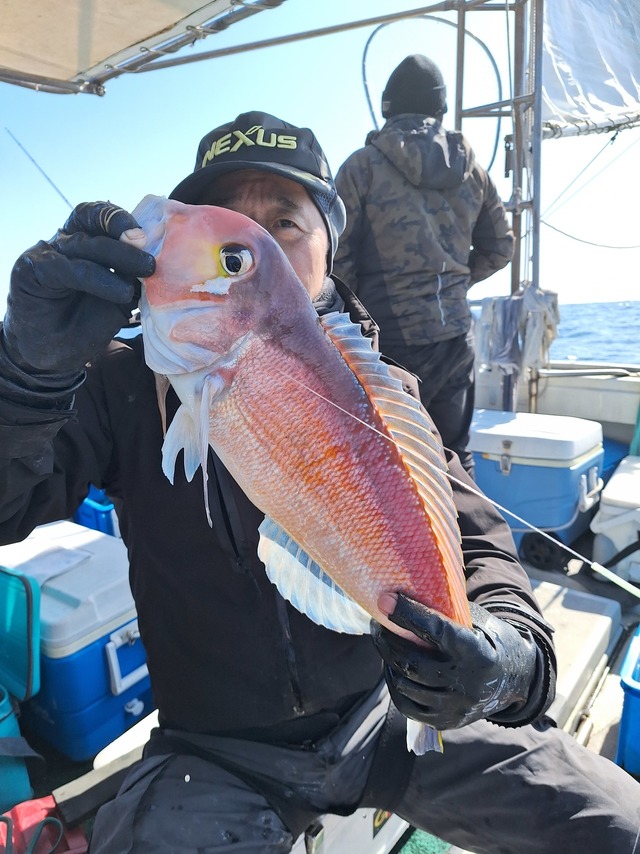 アマダイ(アカアマダイ)