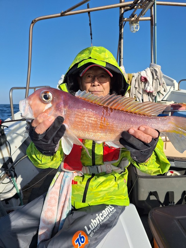 アマダイ(アカアマダイ)