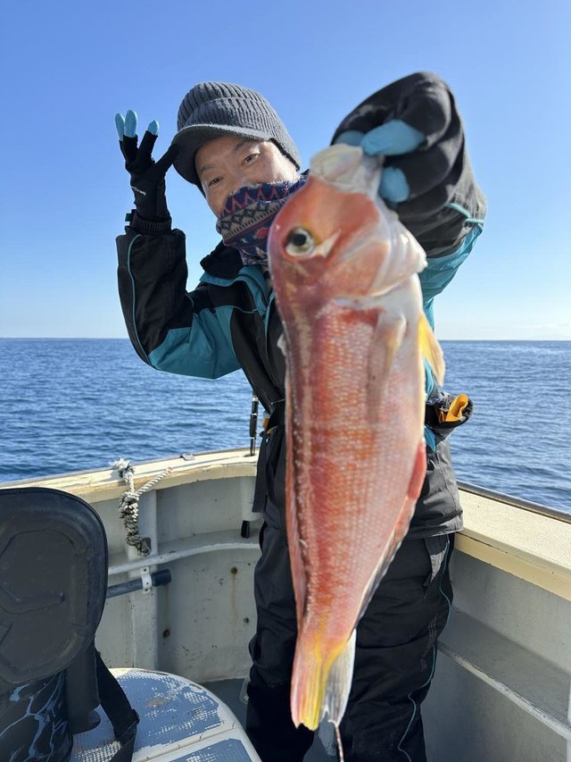 アマダイ(アカアマダイ)