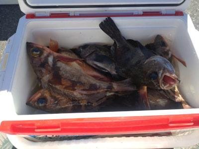 ソイ(クロソイ)・アカメバル(メバル)