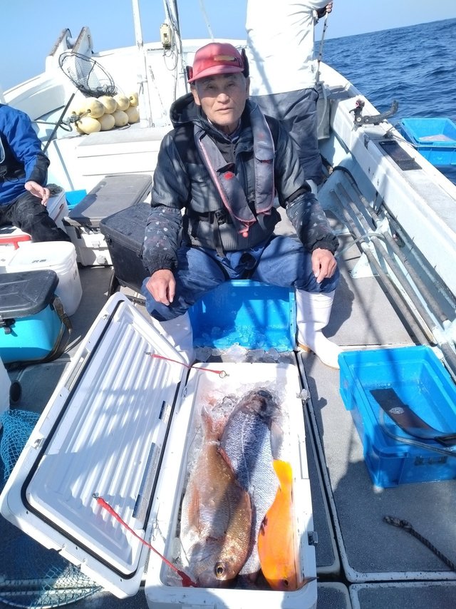 マダイ・ブリ・メダイ