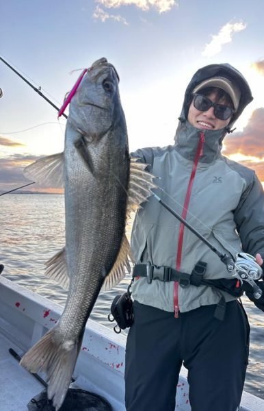 シーバス(スズキ)