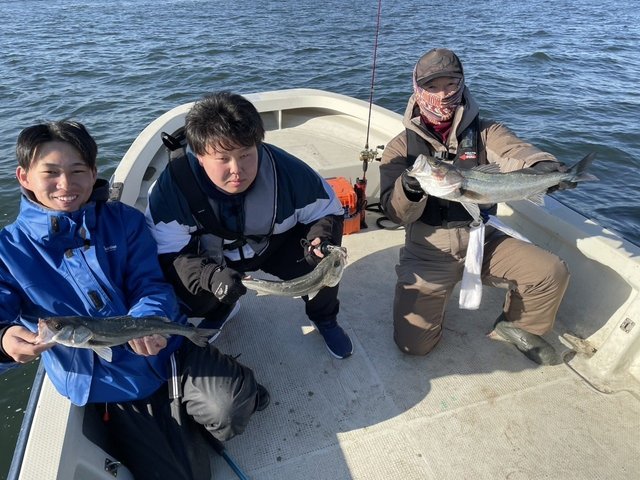 シーバス(スズキ)