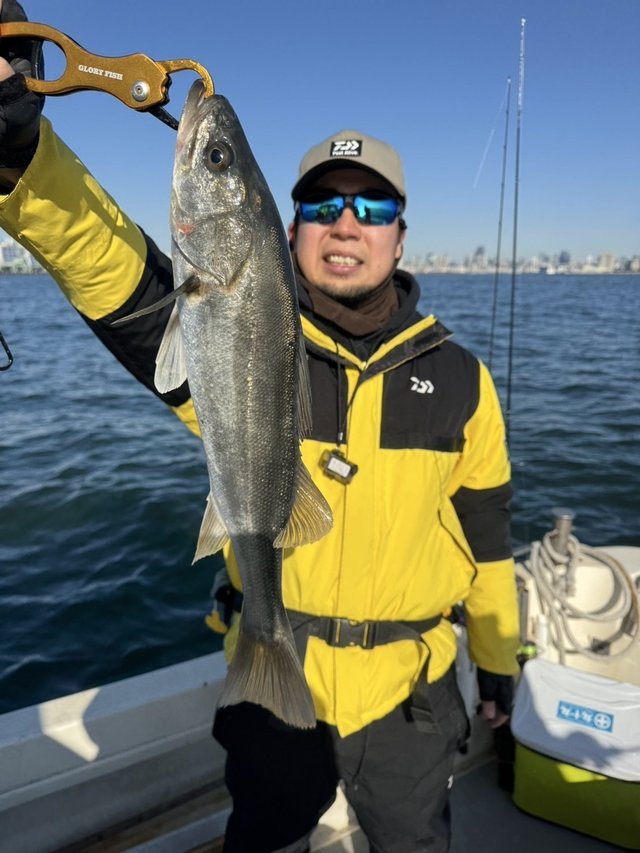 シーバス(スズキ)