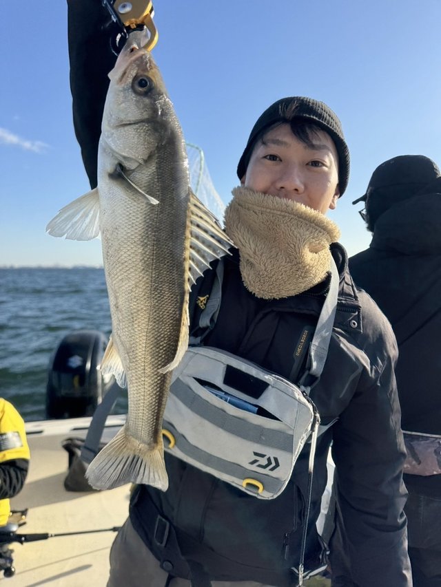 シーバス(スズキ)