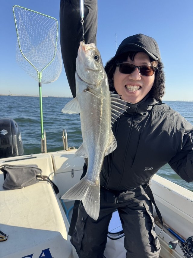 シーバス(スズキ)