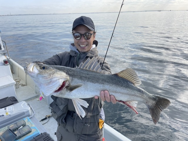 シーバス(スズキ)