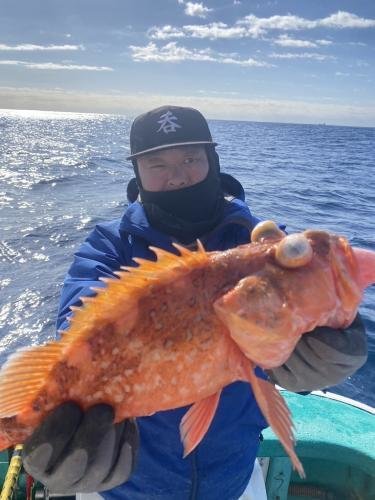 ウッカリカサゴ