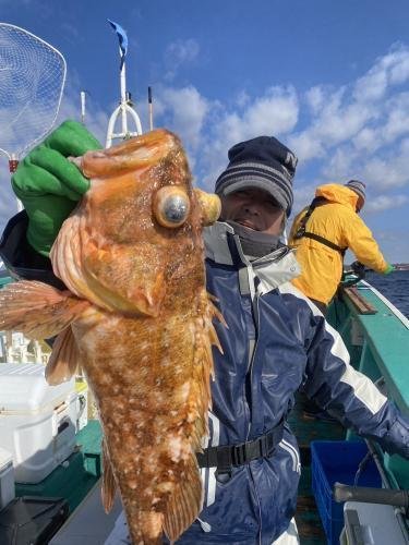 ウッカリカサゴ