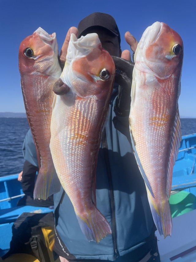 アマダイ(アカアマダイ)