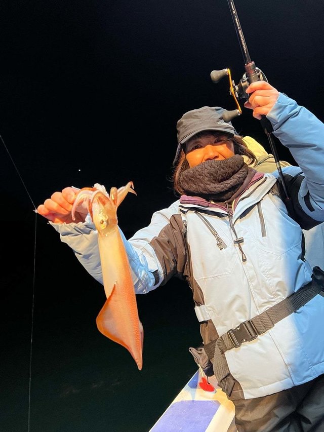 マルイカ(ケンサキイカ)