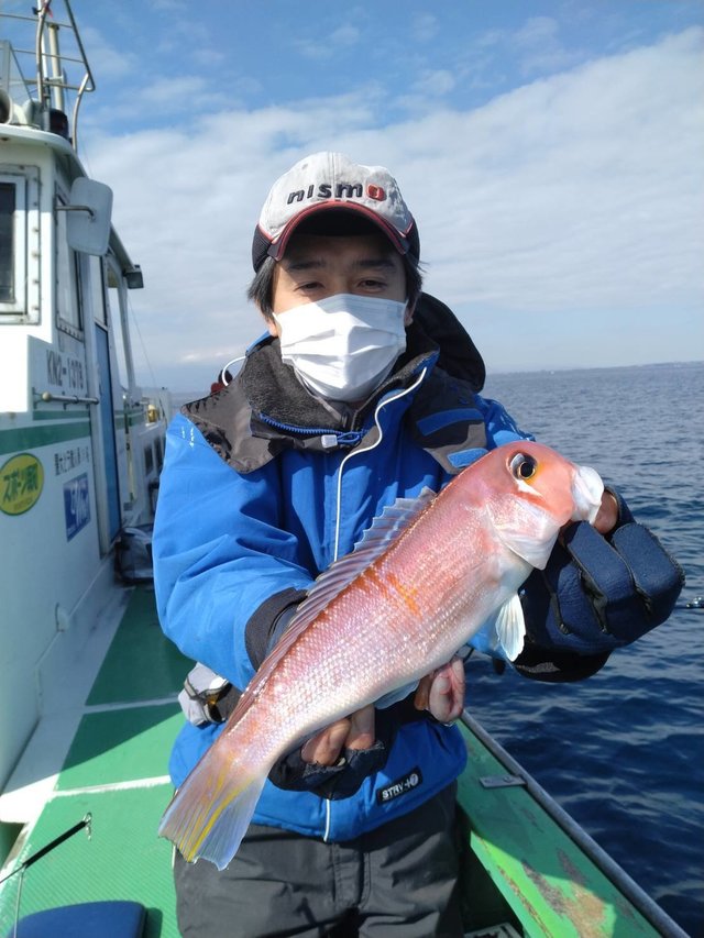 アマダイ(アカアマダイ)