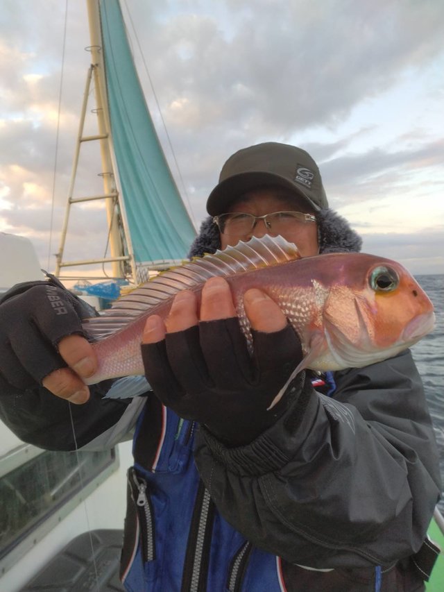 アマダイ(アカアマダイ)