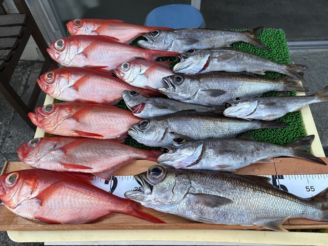 クロムツ・キンメ(キンメダイ)