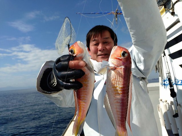 アマダイ(アカアマダイ)