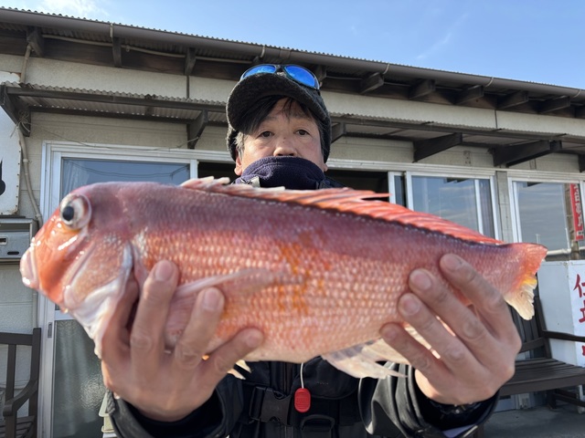 アマダイ(アカアマダイ)