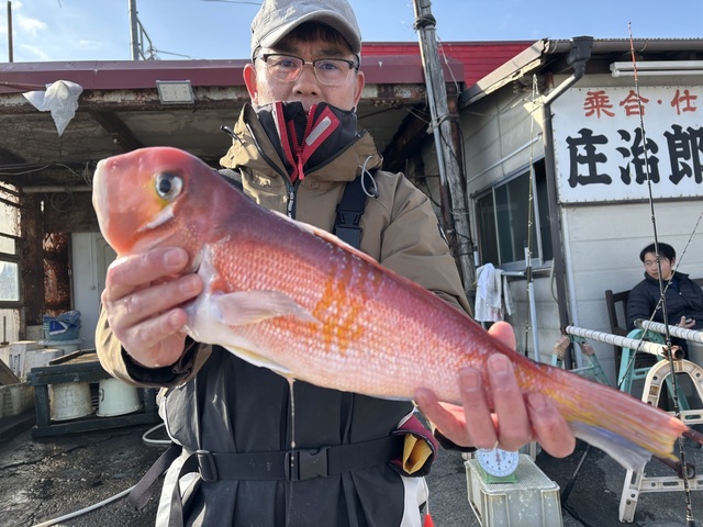 アマダイ(アカアマダイ)