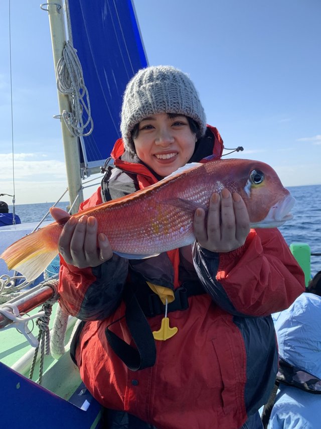 アマダイ(アカアマダイ)