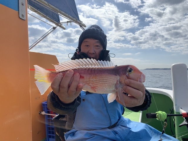 アマダイ(アカアマダイ)