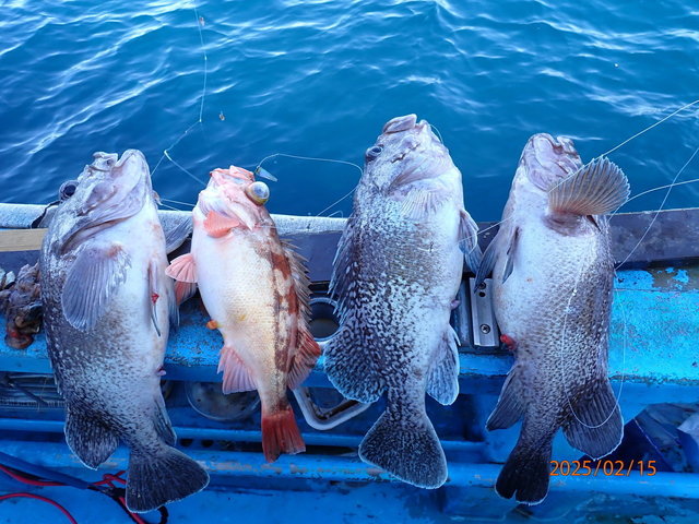 マゾイ(キツネメバル)・オキメバル(ウスメバル)