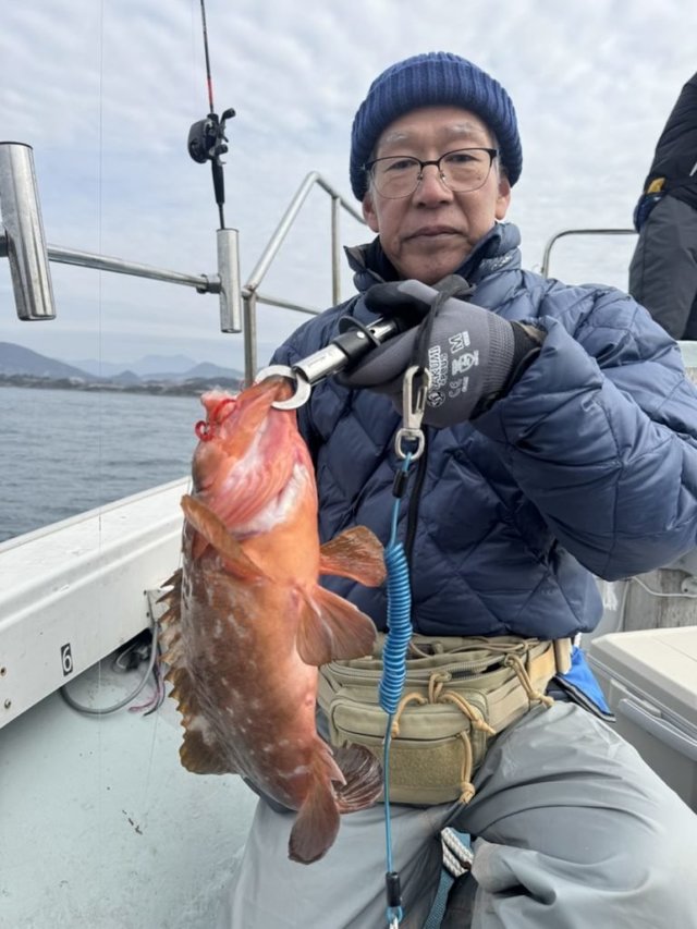 アコウ(キジハタ)