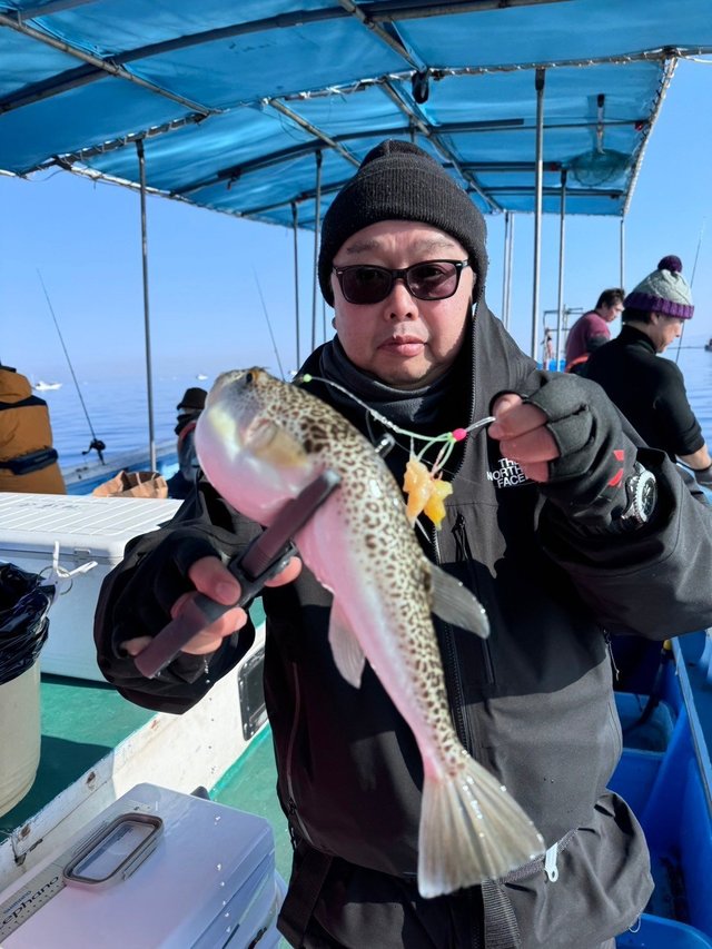 フグ(ショウサイフグ)