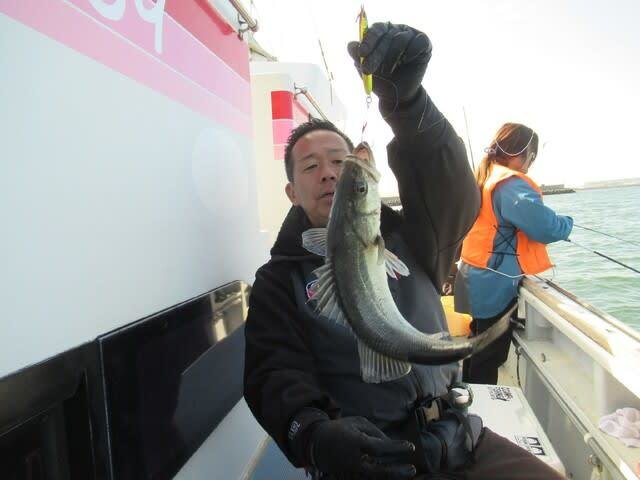 シーバス(スズキ)