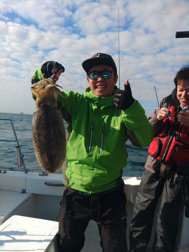 モンゴウイカ(カミナリイカ)